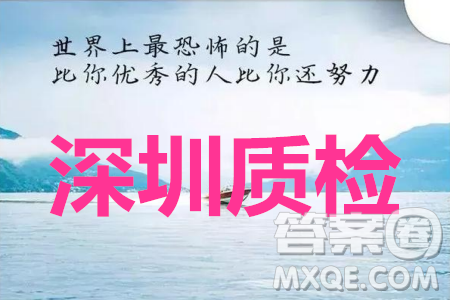 深圳2020屆高三年級第二次教學(xué)質(zhì)量檢測文科數(shù)學(xué)試題及答案