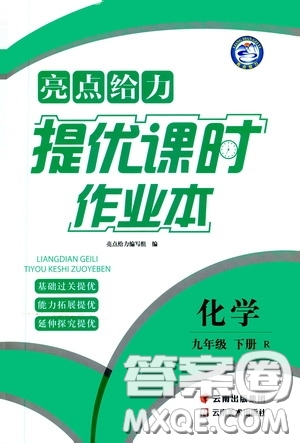 云南美術(shù)出版社2020亮點(diǎn)給力提優(yōu)課時作業(yè)本九年級化學(xué)下冊人教版答案