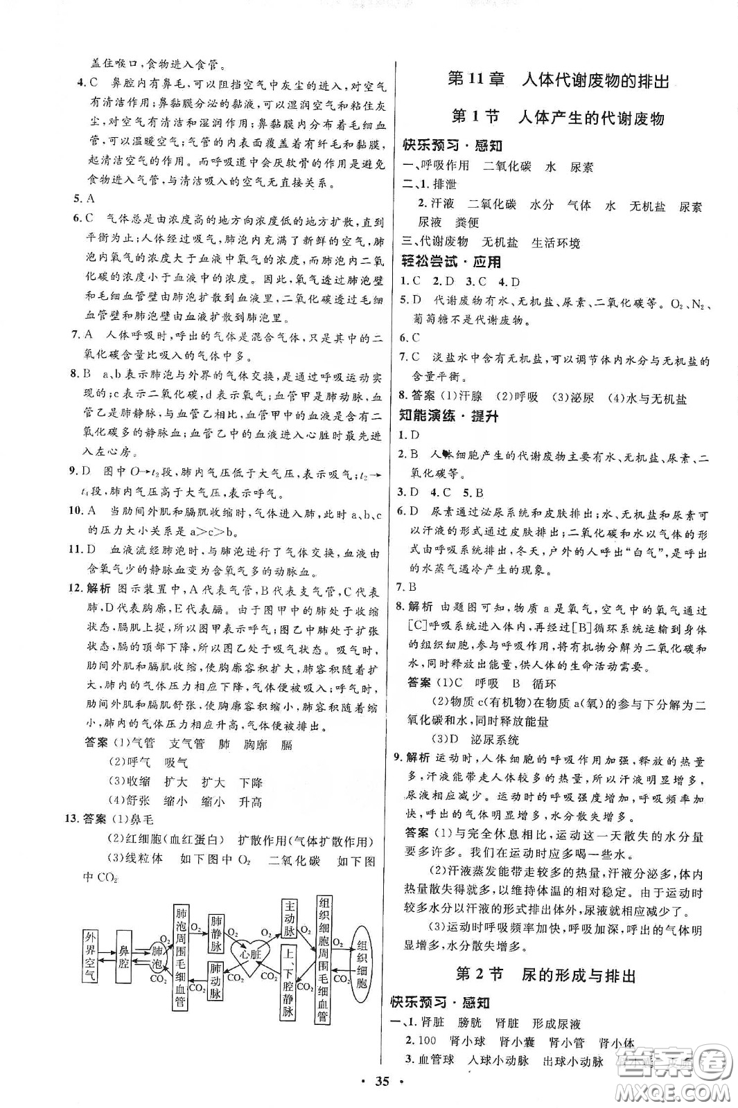 北京師范大學(xué)出版社2020初中同步測控優(yōu)化設(shè)計(jì)七年級(jí)生物學(xué)下冊北師大版答案