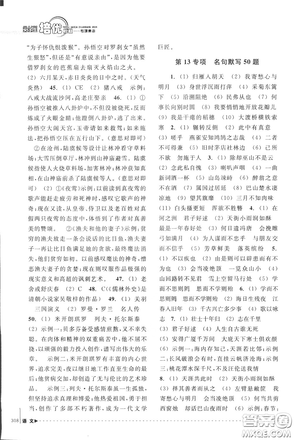 南方出版社2020年尖子生培優(yōu)教材專項集訓(xùn)語文初中綜合版參考答案