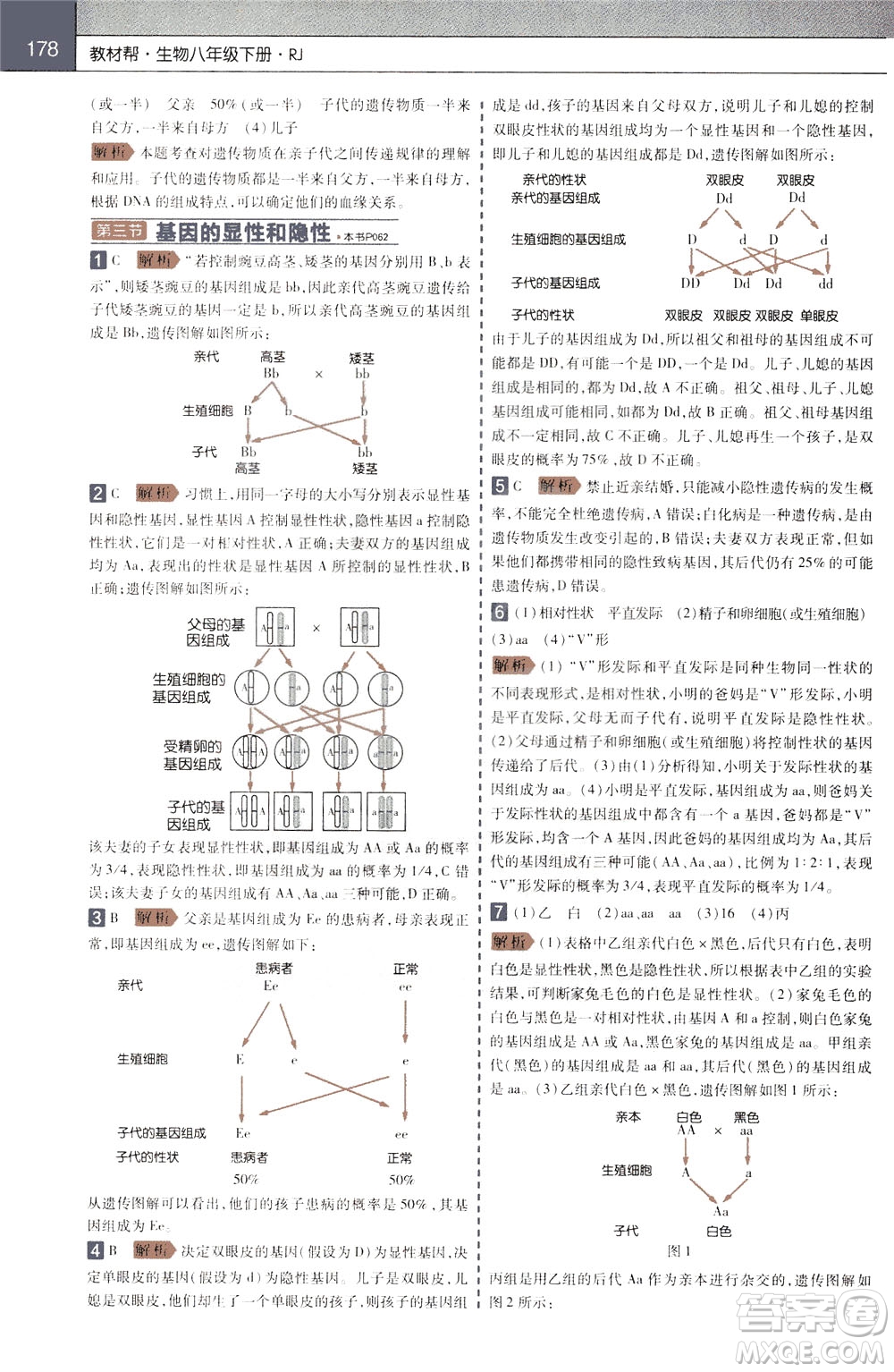 2020年教材幫初中生物八年級下冊RJ人教版參考答案