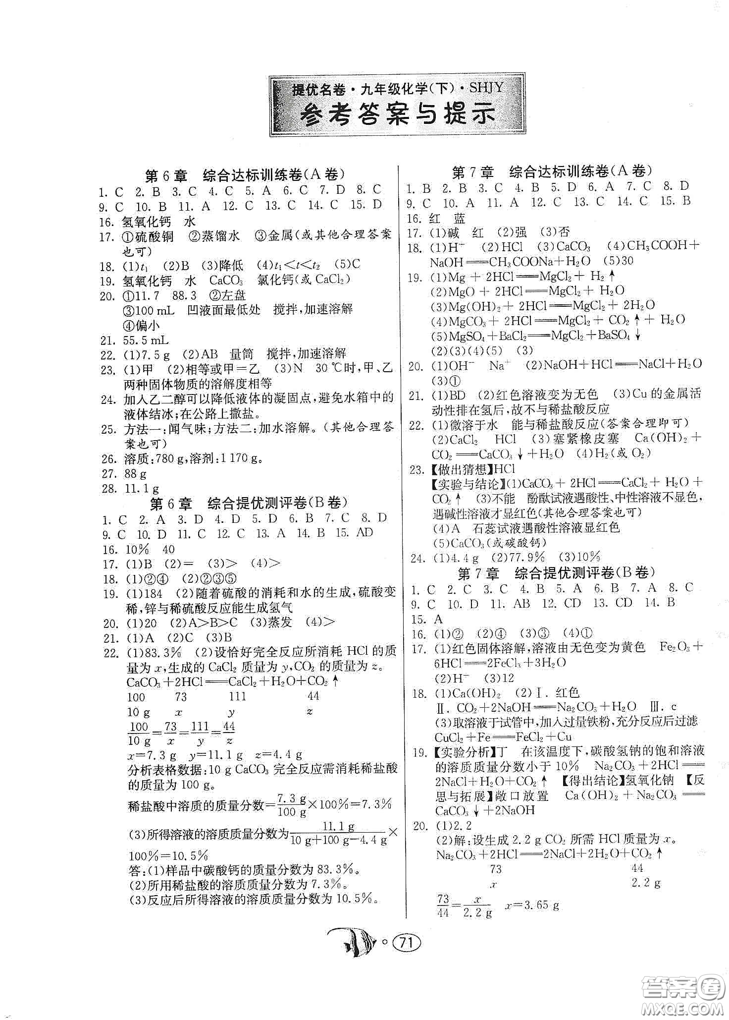 春雨教育2020名牌牛皮卷提優(yōu)名卷九年級化學(xué)下冊上海教育版答案