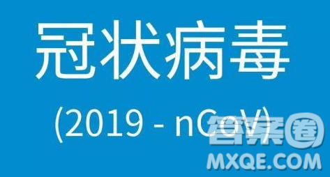 關(guān)于2020疫情的小學(xué)生作文 關(guān)于2020年這次疫情的作文400字小學(xué)生