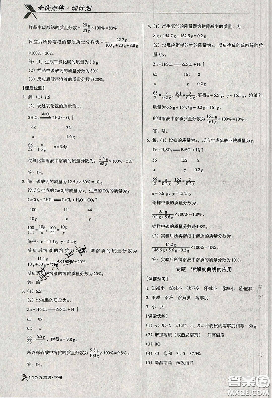 遼海出版社2020全優(yōu)點練課計劃九年級化學(xué)下冊人教版答案