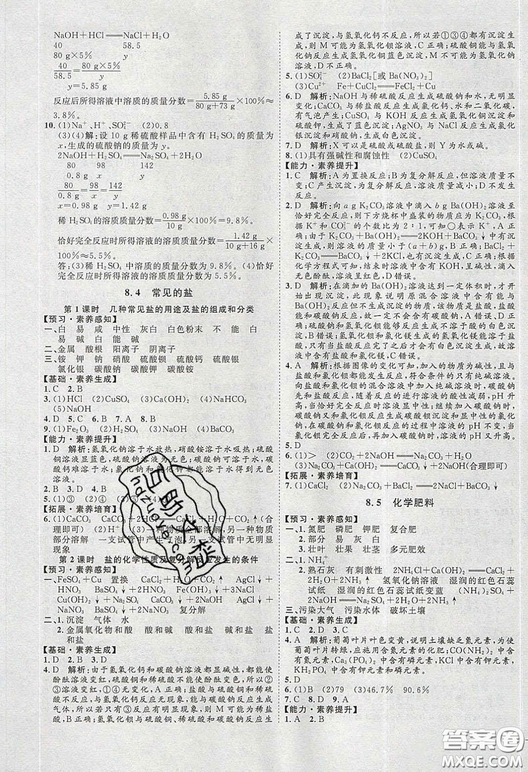 2020春優(yōu)加學(xué)案課時(shí)通九年級化學(xué)下冊Y版答案