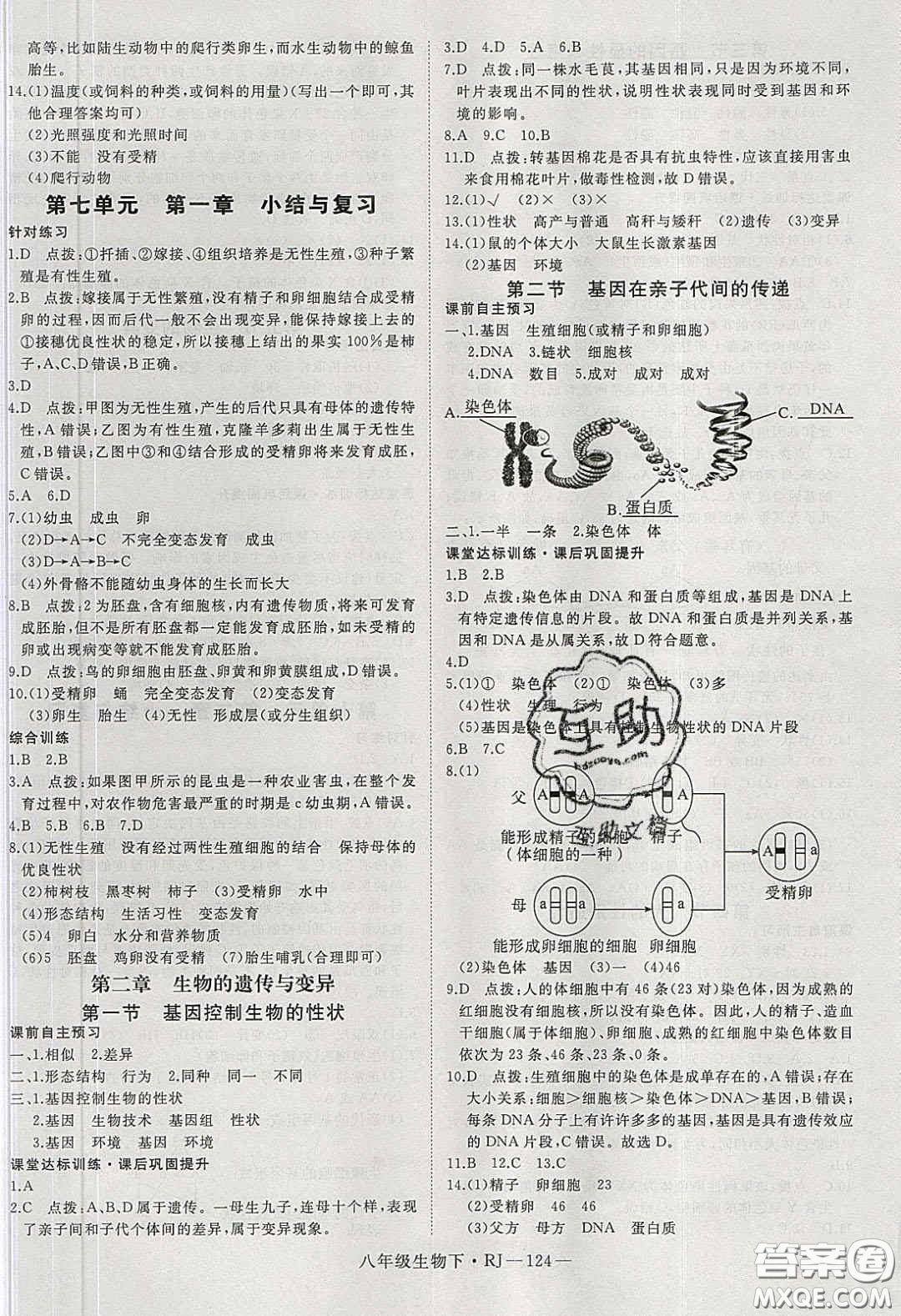 武漢出版社2020春優(yōu)翼學(xué)練優(yōu)八年級生物下冊人教版答案