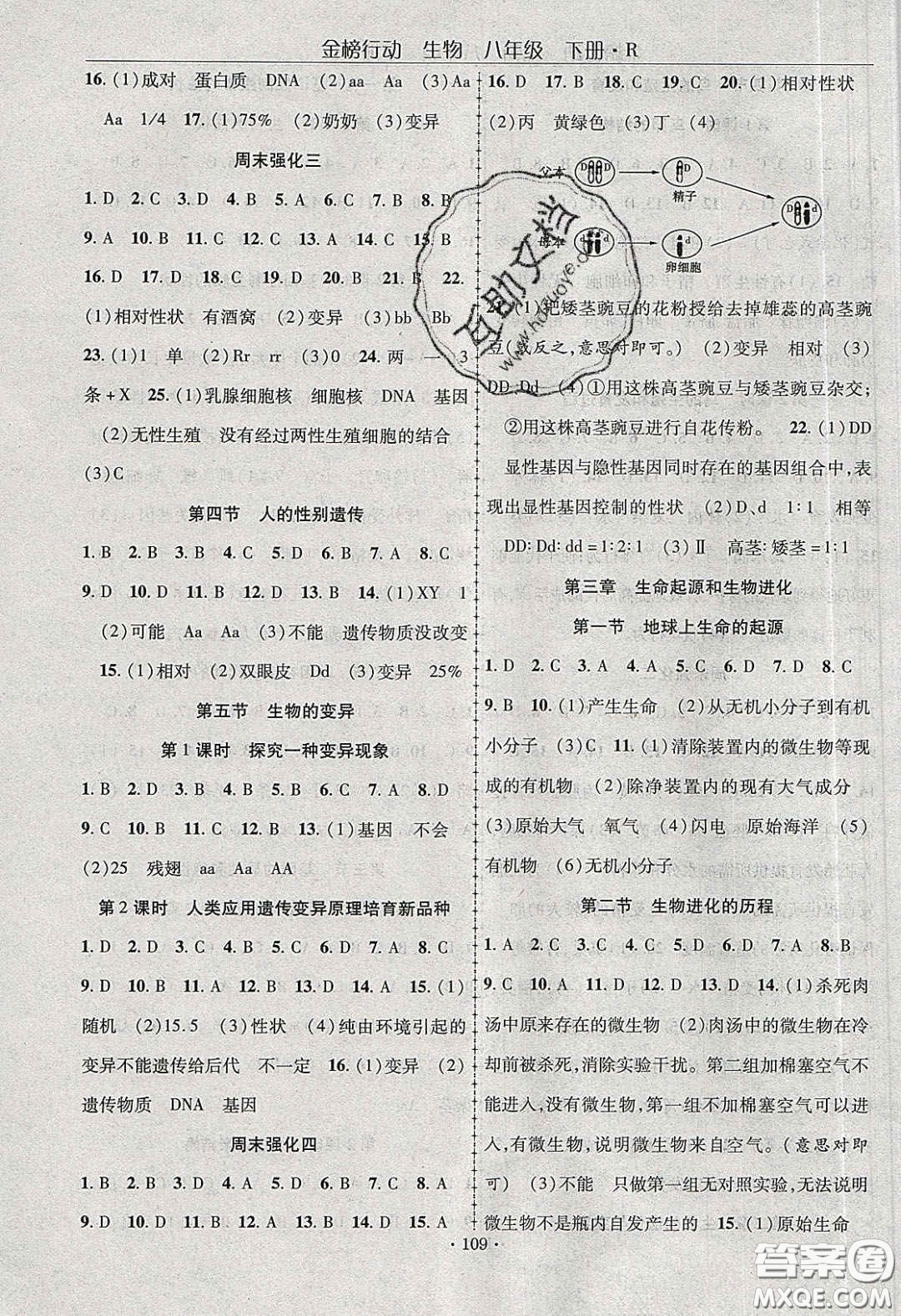 海韻圖書2020年金榜行動(dòng)課時(shí)導(dǎo)學(xué)案八年級(jí)生物下冊(cè)人教版答案