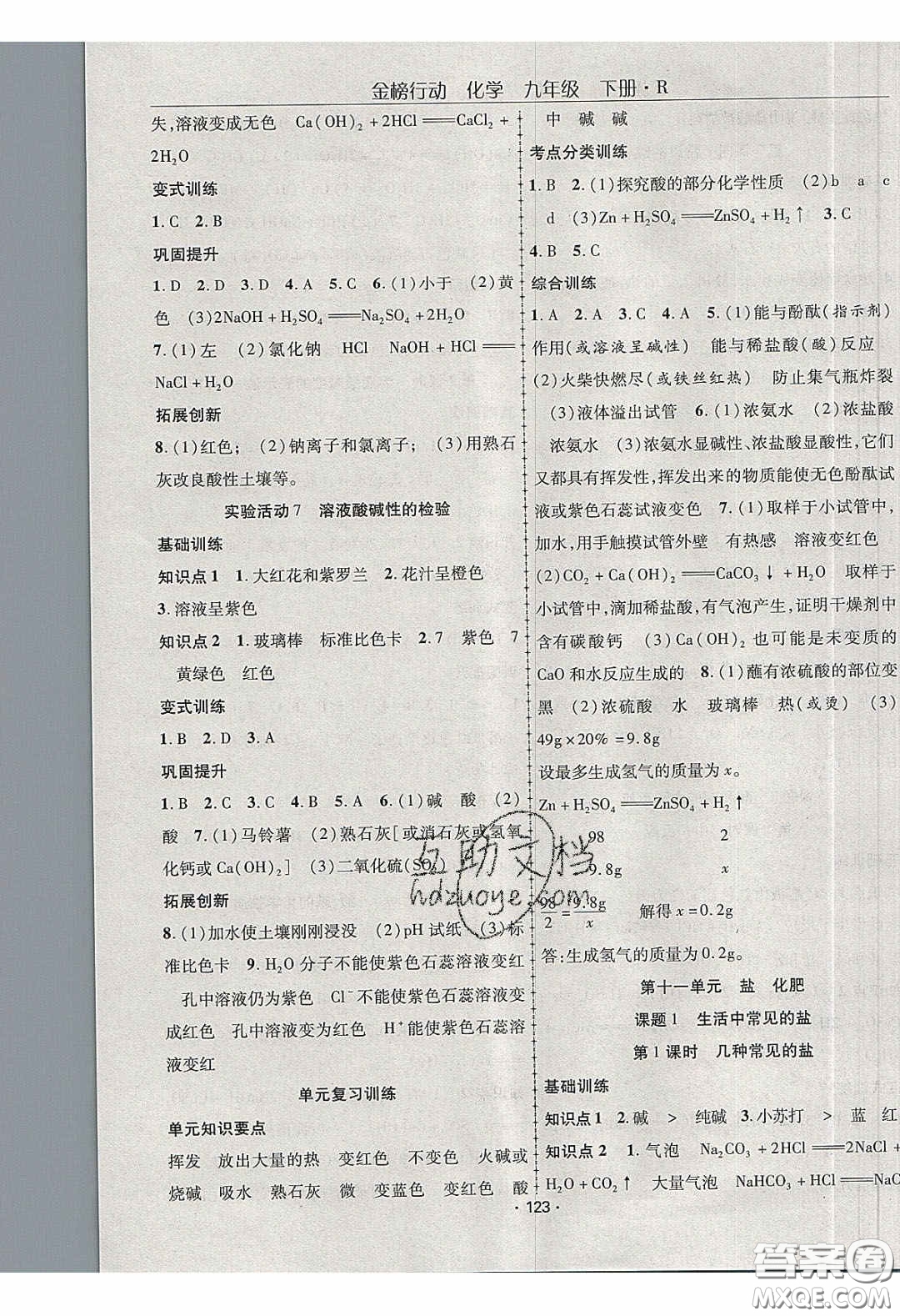 海韻圖書2020年金榜行動(dòng)課時(shí)導(dǎo)學(xué)案九年級(jí)化學(xué)下冊(cè)人教版答案