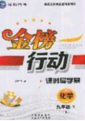 海韻圖書2020年金榜行動(dòng)課時(shí)導(dǎo)學(xué)案九年級(jí)化學(xué)下冊(cè)人教版答案