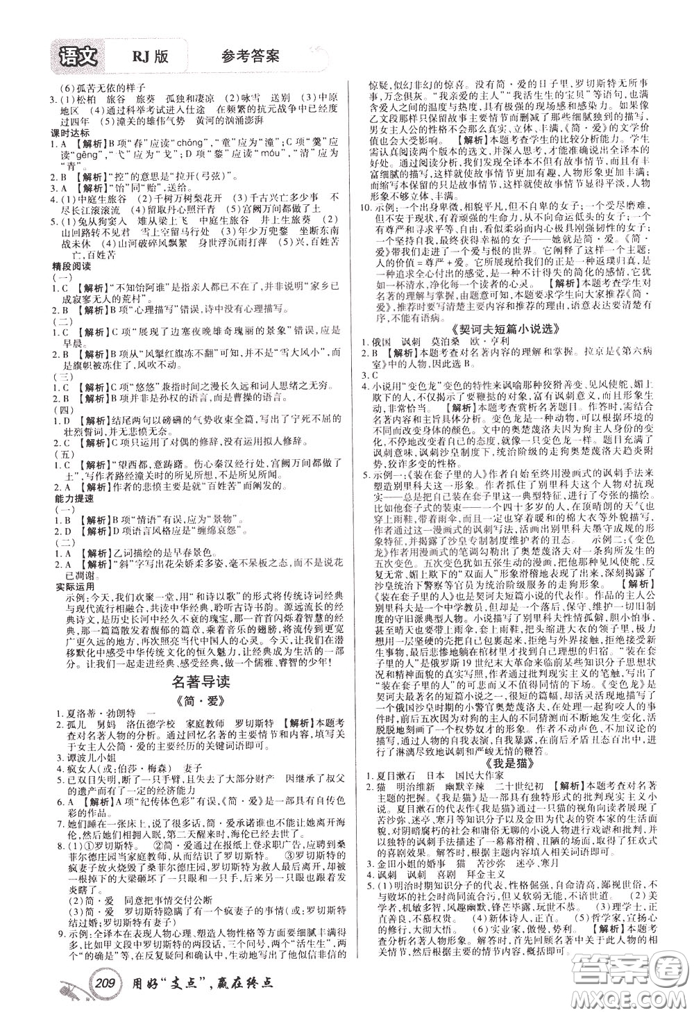 2020年支點(diǎn)語文九年級(jí)下冊(cè)RJ版人教版江西專版參考答案