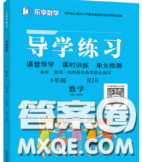 延邊教育出版社2020年新版導(dǎo)學(xué)練習(xí)樂享數(shù)學(xué)六年級(jí)下冊(cè)人教版答案