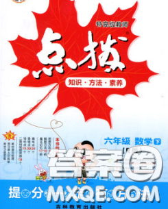 2020春特高級教師點撥六年級數(shù)學(xué)下冊人教版答案