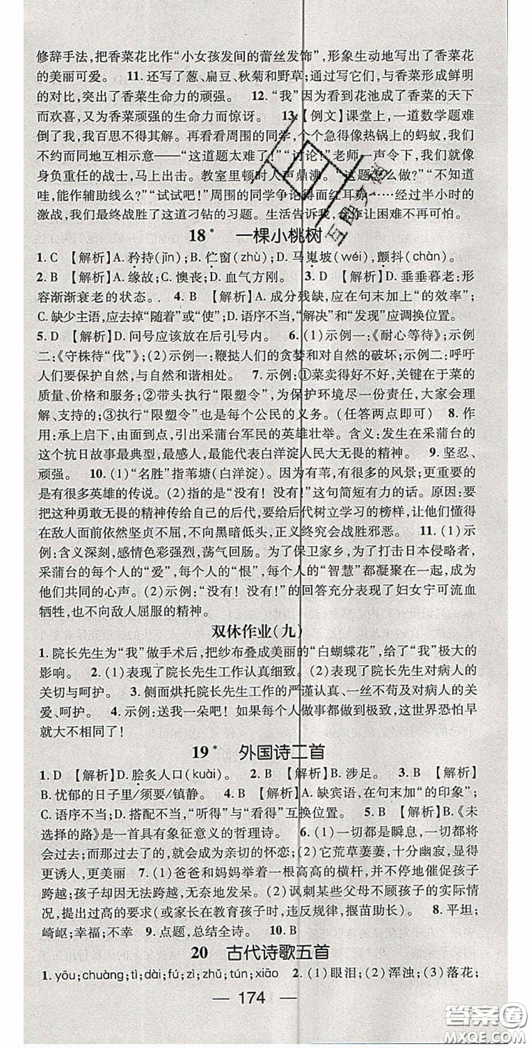 陽(yáng)光出版社2020精英新課堂七年級(jí)語(yǔ)文下冊(cè)人教版答案