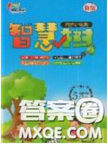 2020年智慧樹同步講練測(cè)數(shù)學(xué)五年級(jí)下冊(cè)蘇教版參考答案