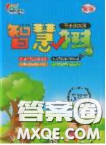 2020年智慧樹同步講練測數(shù)學(xué)五年級下冊北師大版參考答案