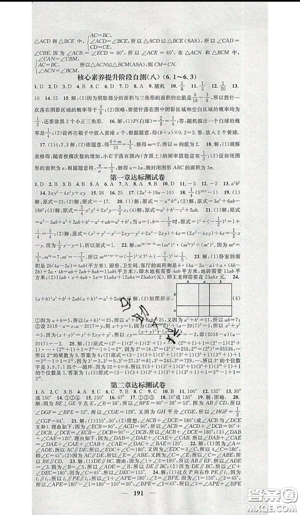 2020年智慧學堂核心素養(yǎng)提升法七年級下冊數學北師大版參考答案