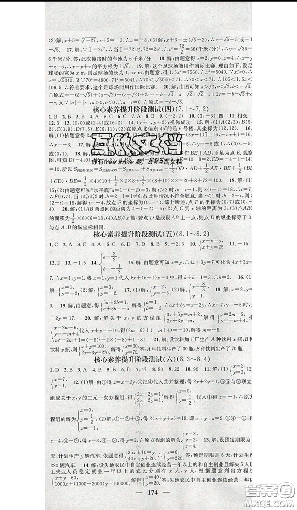 2020年智慧學堂核心素養(yǎng)提升法七年級下冊數(shù)學人教版參考答案