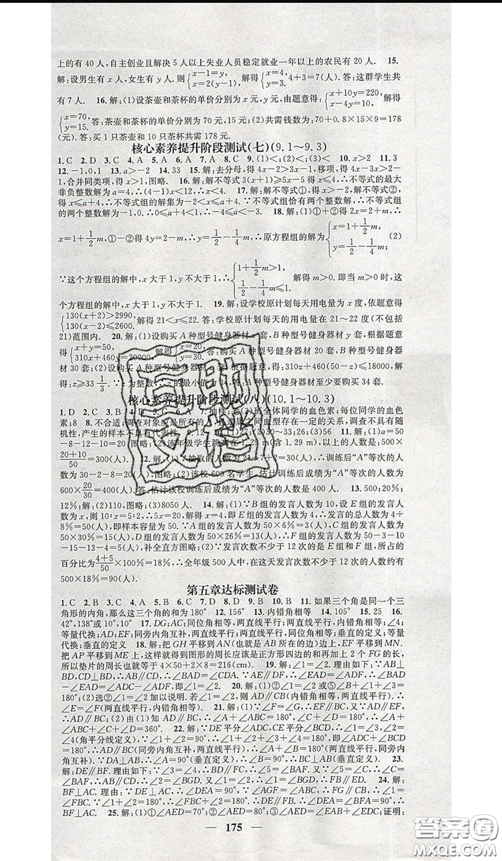 2020年智慧學堂核心素養(yǎng)提升法七年級下冊數(shù)學人教版參考答案