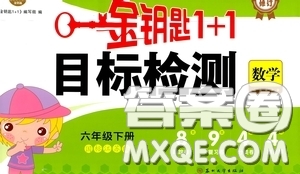 2020新版金鑰匙1+1目標(biāo)檢測(cè)六年級(jí)下冊(cè)數(shù)學(xué)國(guó)際江蘇版參考答案