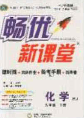 寧夏人民教育出版社2020暢優(yōu)新課堂九年級化學(xué)下冊人教版答案