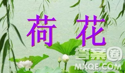 描寫夏天的小學(xué)生作文400字最新 描寫夏天的作文400字