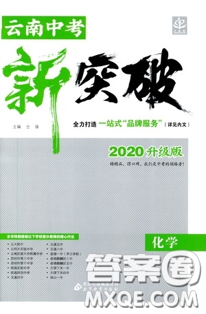 2020升級版云南中考新突破化學參考答案