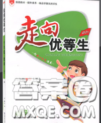 2020春走向優(yōu)等生六年級數(shù)學(xué)下冊人教版答案