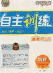 2020自主訓(xùn)練九年級(jí)物理下冊(cè)人教版答案