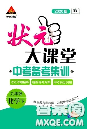 狀元成才路2020版狀元大課堂中考備考集訓九年級下冊化學人教版參考答案