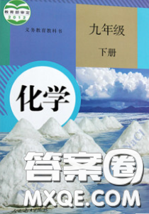 2020九年級(jí)化學(xué)課本下冊(cè)人教版答案