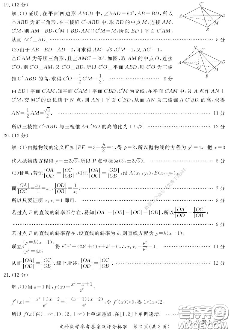 2020年湛江市高三網(wǎng)絡(luò)教學(xué)訓(xùn)練題二文科數(shù)學(xué)題及答案