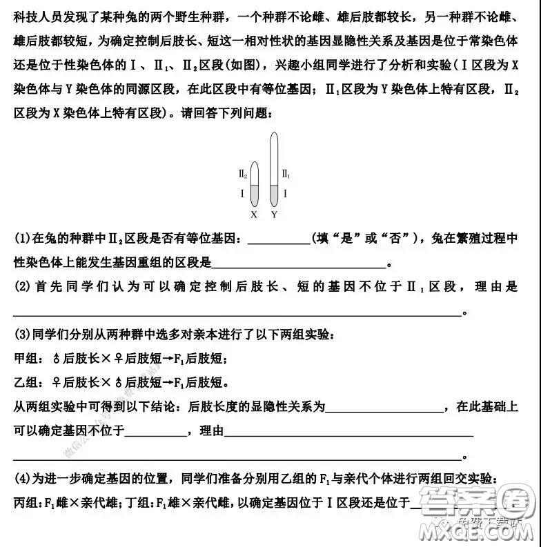 衡水中學(xué)2019-2020學(xué)年度第二學(xué)期高三年級二調(diào)考試?yán)砜凭C合試題及答案