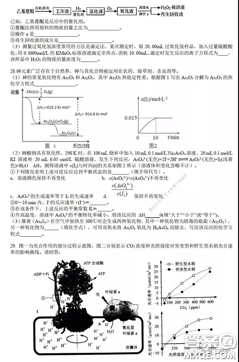 華師大一附中2020屆高三2月檢測線上理科綜合能力測試試題及答案