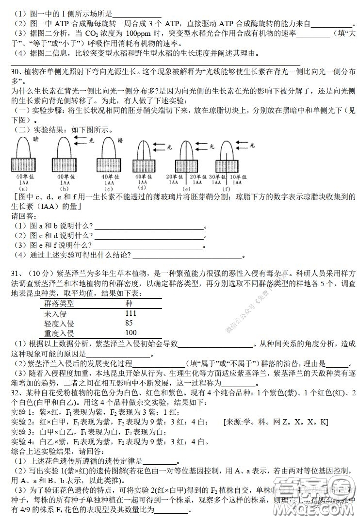 華師大一附中2020屆高三2月檢測線上理科綜合能力測試試題及答案