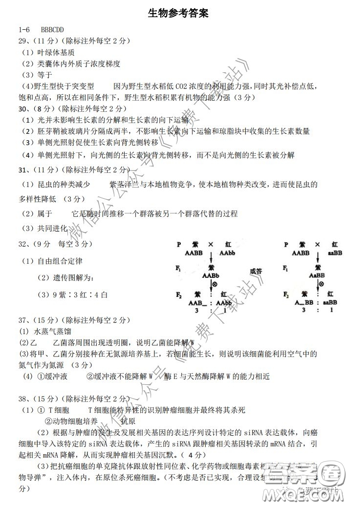 華師大一附中2020屆高三2月檢測線上理科綜合能力測試試題及答案