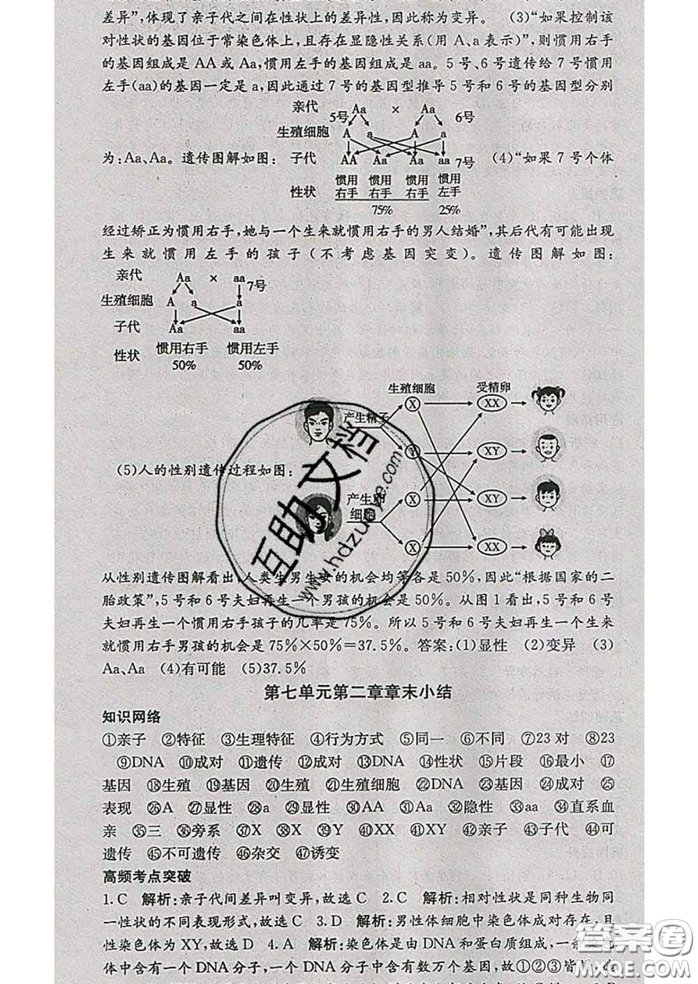 梯田文化2020春課堂點睛八年級生物下冊人教版答案