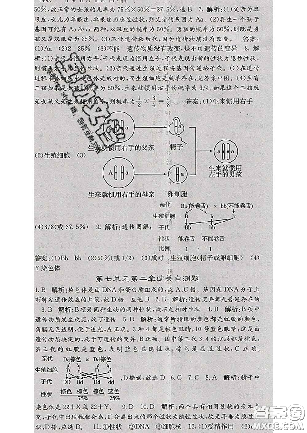 梯田文化2020春課堂點睛八年級生物下冊人教版答案