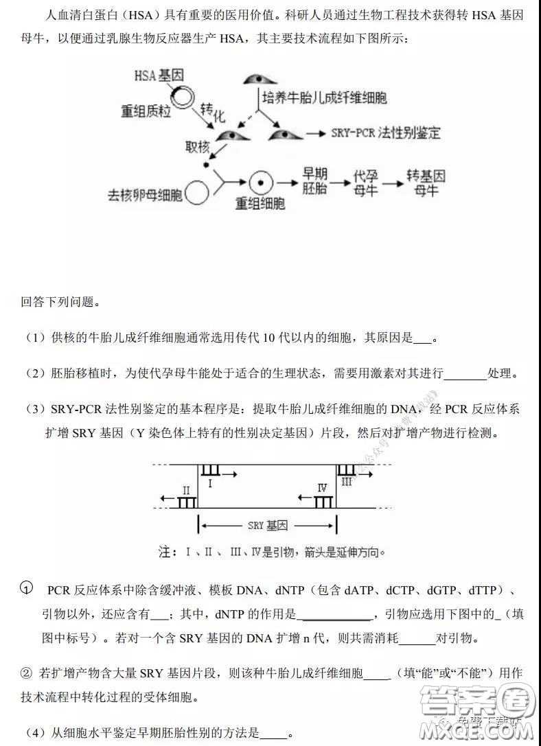 2020年河南省實(shí)驗(yàn)中學(xué)高三假期自主測(cè)試?yán)砜凭C合試題及答案