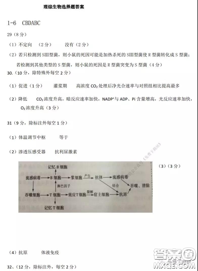 2020年河南省實(shí)驗(yàn)中學(xué)高三假期自主測(cè)試?yán)砜凭C合試題及答案