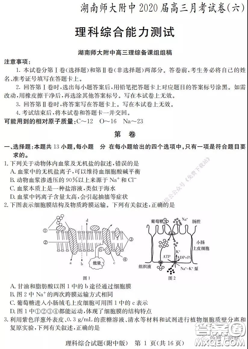 炎德英才大聯(lián)考湖南師大附中2020屆高三月考試卷六理科綜合試題及答案