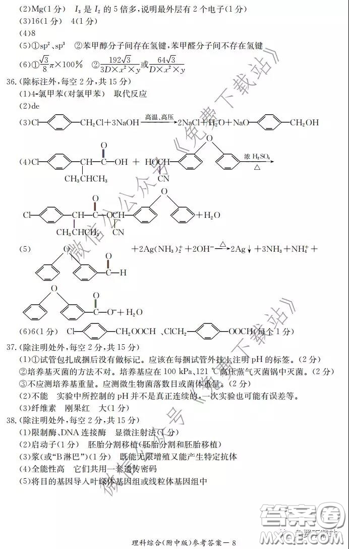 炎德英才大聯(lián)考湖南師大附中2020屆高三月考試卷六理科綜合試題及答案