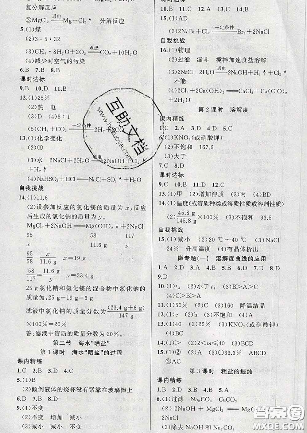 2020年黃岡金牌之路練闖考九年級化學(xué)下冊魯教版答案