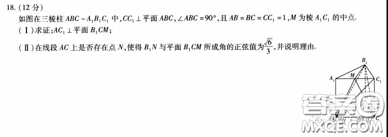 天一大聯(lián)考2020屆高考全真模擬卷四理科數學試題及答案