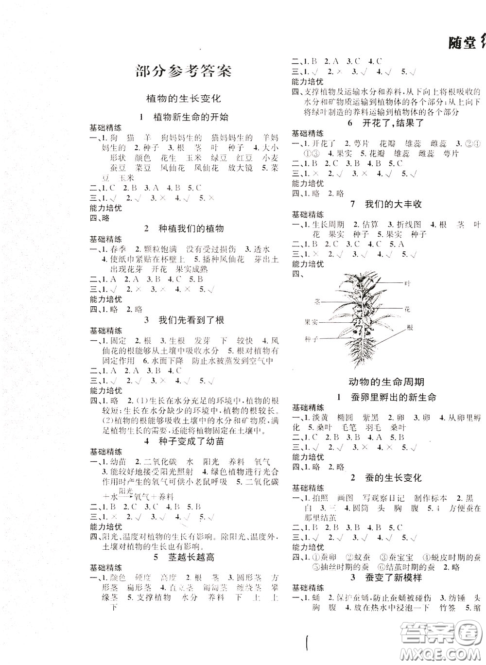 晨光出版社2020年課時(shí)掌控隨堂練習(xí)科學(xué)3年級(jí)下冊(cè)J教科版參考答案