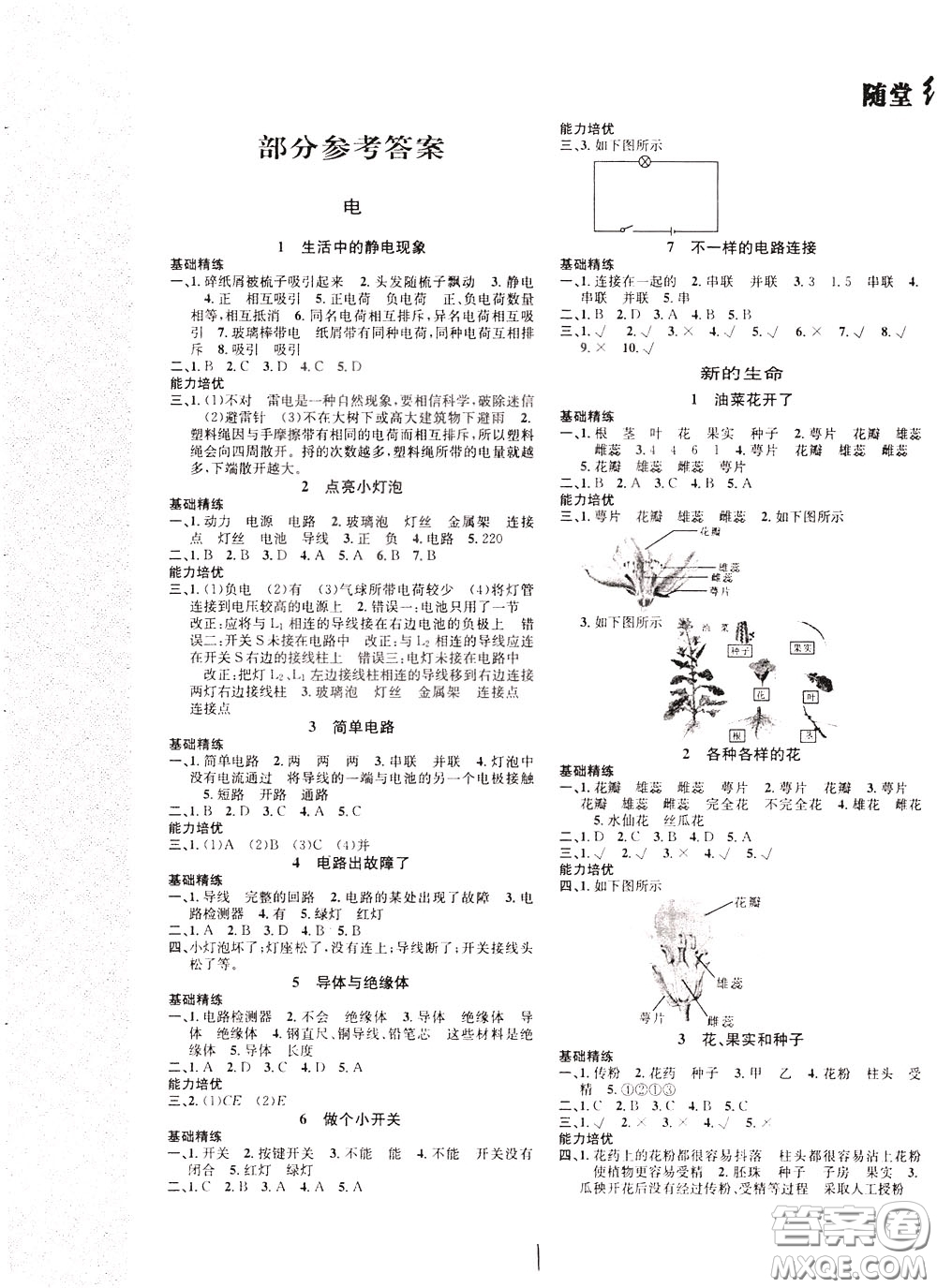 晨光出版社2020年課時掌控隨堂練習科學4年級下冊J教科版參考答案