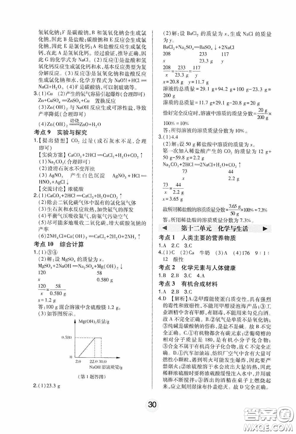 東北師范大學出版社2020北大綠卡課時同步講練九年級化學下冊人教版答案