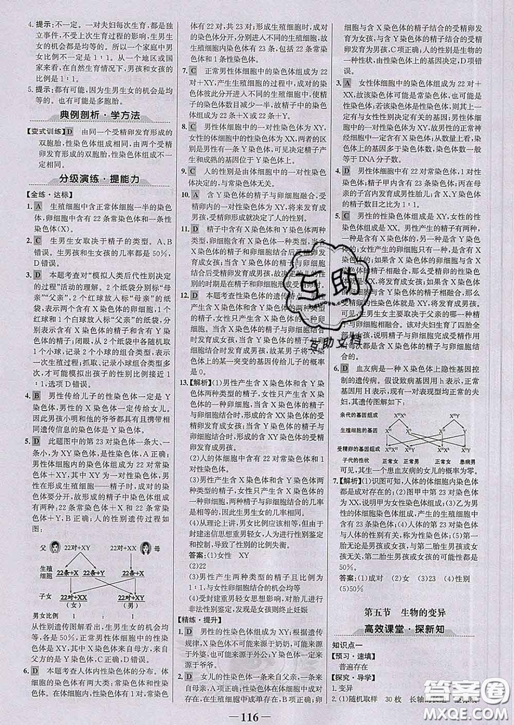 2020新版世紀(jì)金榜金榜學(xué)案八年級(jí)生物下冊人教版答案