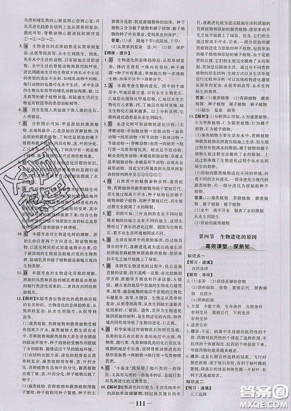 2020新版世紀(jì)金榜金榜學(xué)案八年級生物下冊濟(jì)南版答案