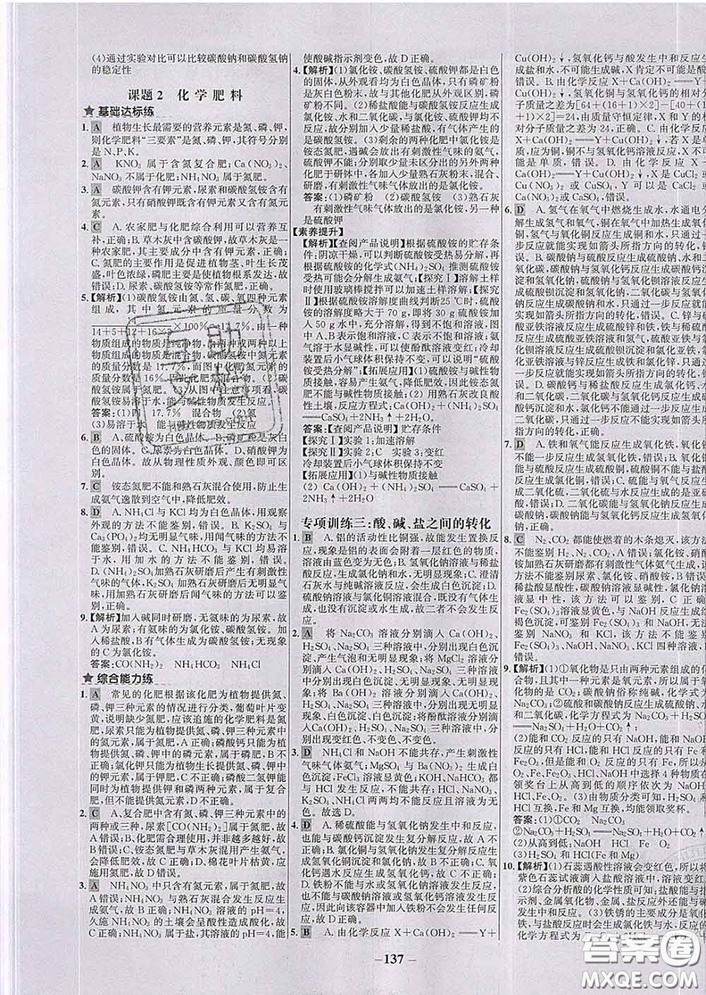 2020春世紀金榜百練百勝九年級化學(xué)下冊人教版答案