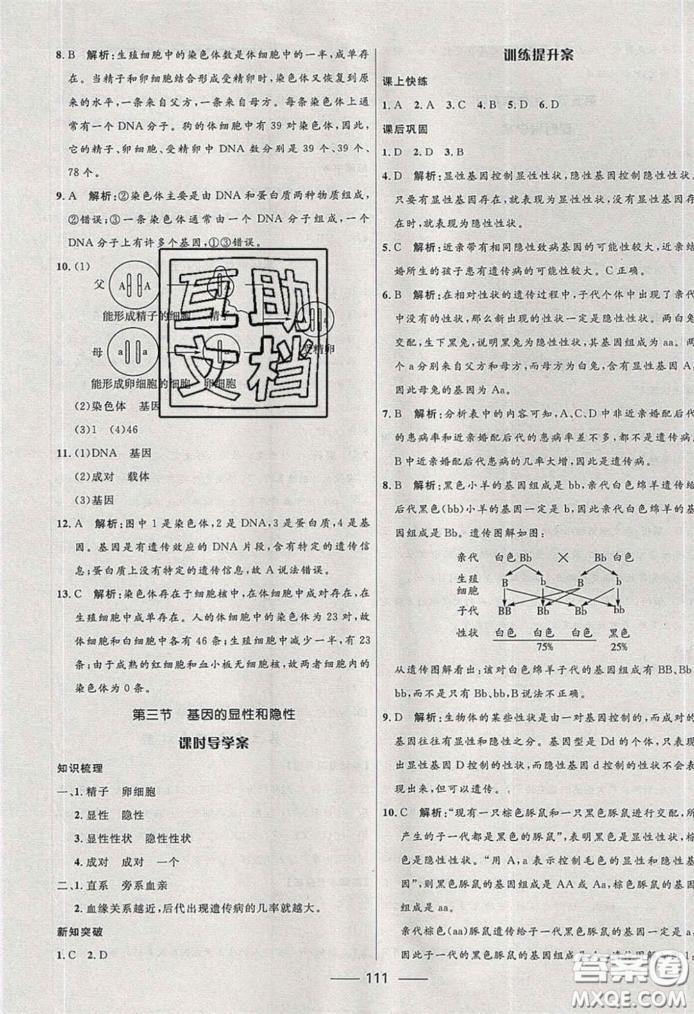 贏在起跑線2020奪冠百分百新導(dǎo)學(xué)課時(shí)練八年級(jí)生物下冊(cè)人教版答案